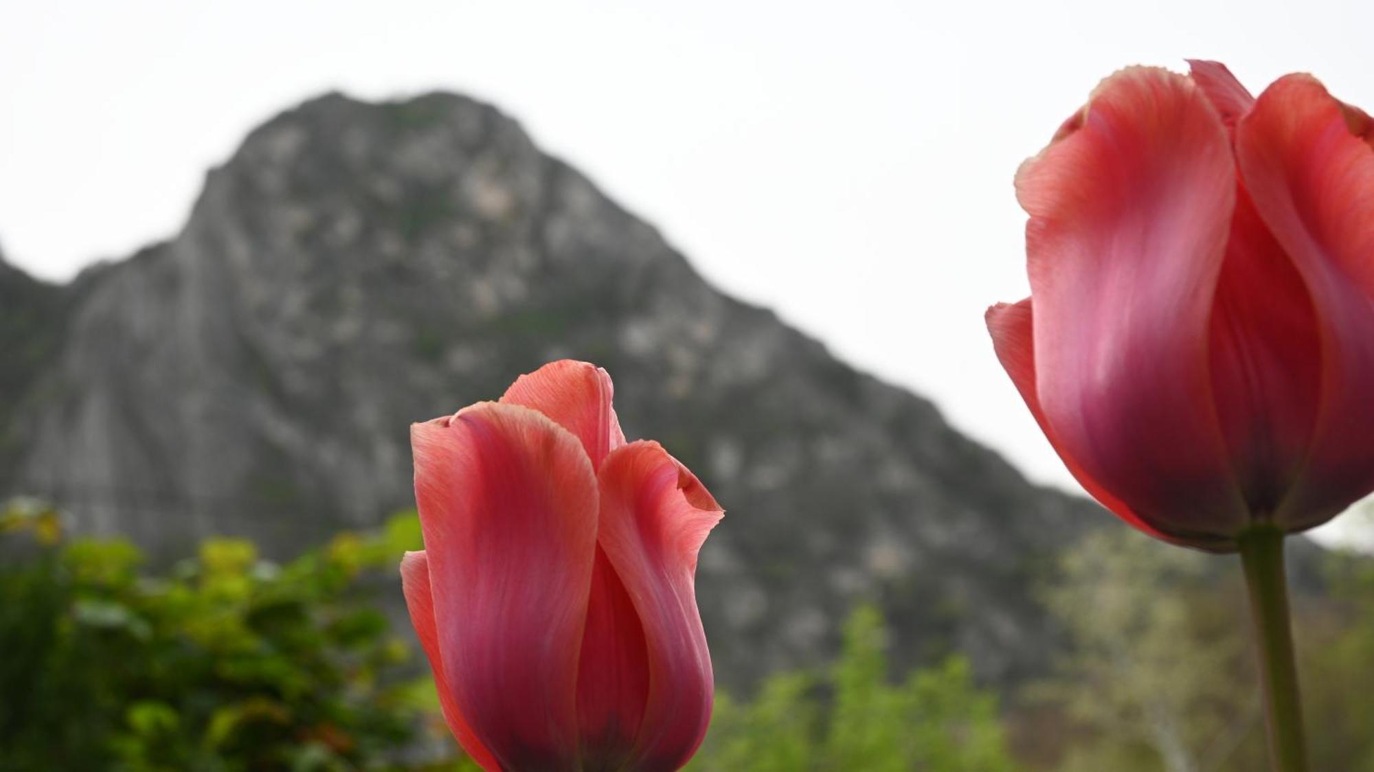 Canyon Matka - Unique Place For Stay Skopje Exterior foto